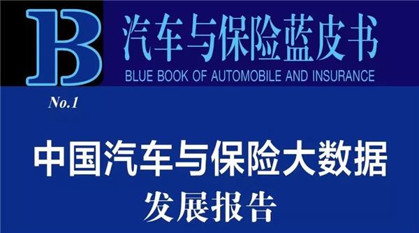 汽车保险蓝皮书,保险大数据发展报告